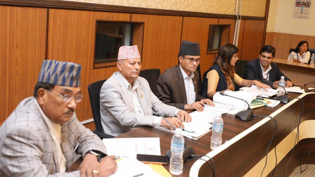 ९ वटा सहकारीको कागजात माग गर्ने संसदीय छानबिन समितिको निर्णय